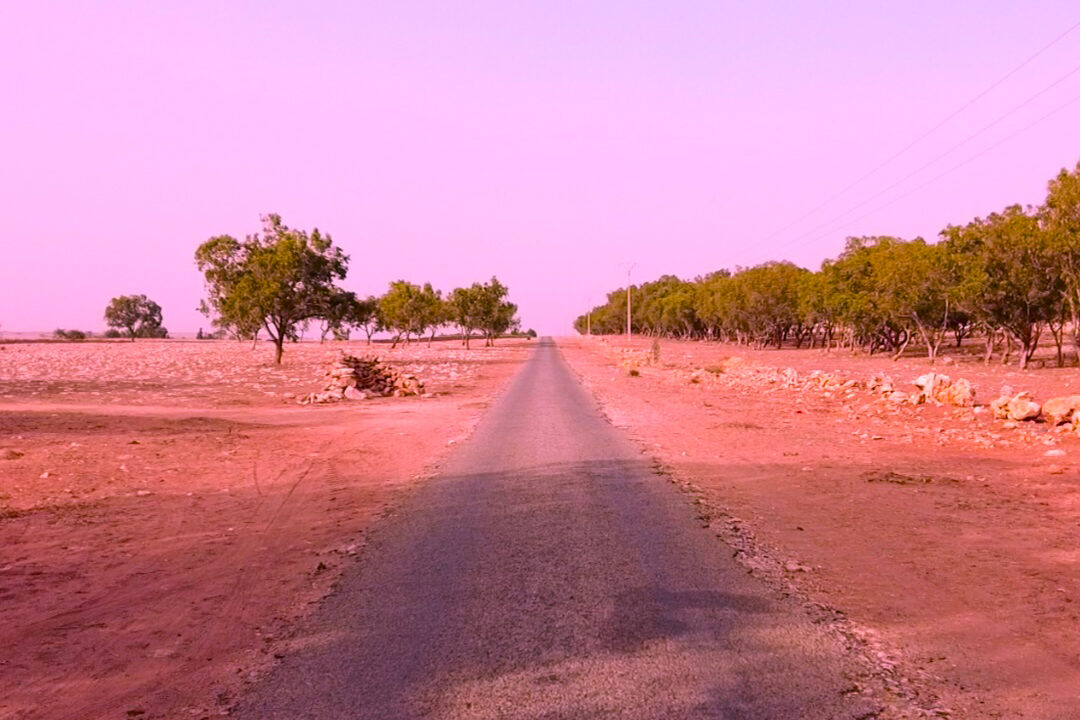 une route en direction de Ouled Amor Gharbia